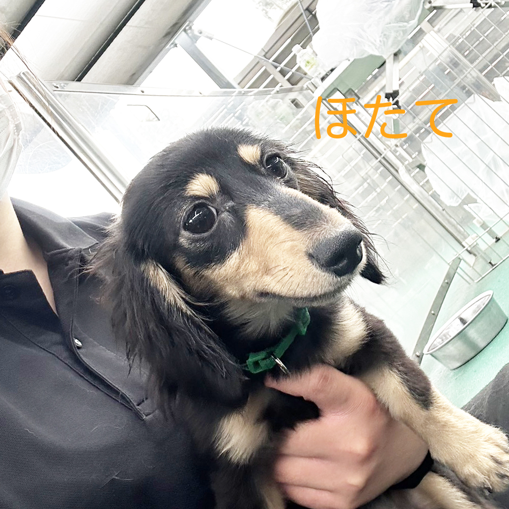生徒が撮影してくれた写真②